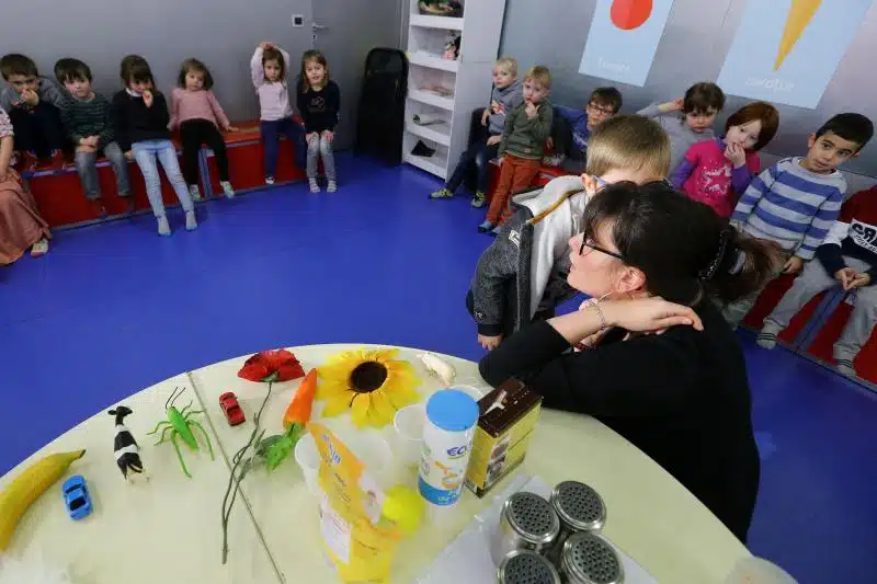 Des fermes pour enfants Les atouts du Nord-pas-de-Calais pour les familles à Lille