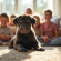 Chiot cane corso dans un salon ensoleille avec enfants