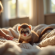 Jeune furet explorant un salon cosy avec un enfant curieux